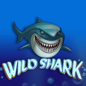 Wild shark logo