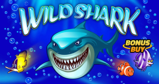 Wild shark logo